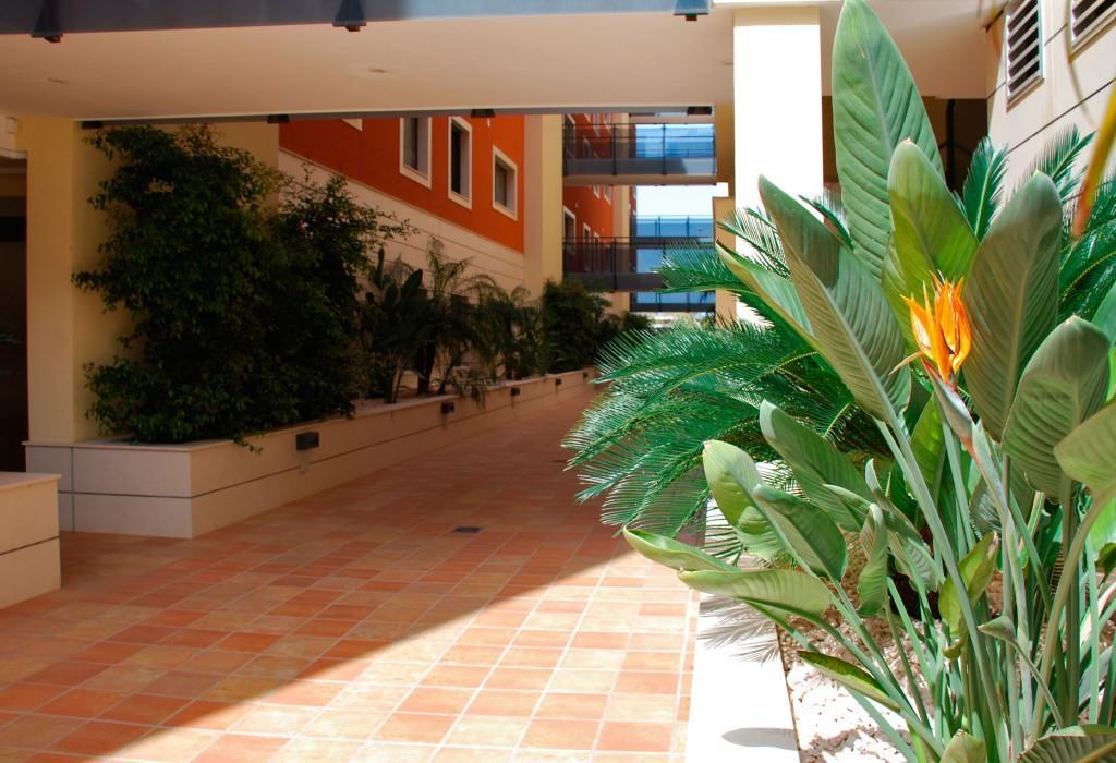 Las Flores Apartment 德尼亚 客房 照片